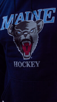 هودی مردانه اورجینال