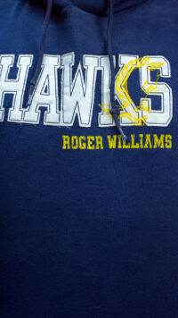 هودی مردانه استوک